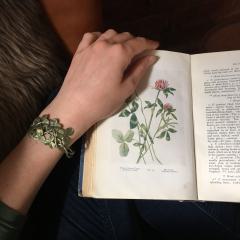 Detailansicht